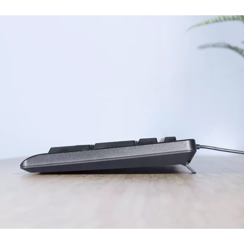 Trust TKM-250 Teclado ratón incluido Oficina USB QWERTZ Alemán Negro