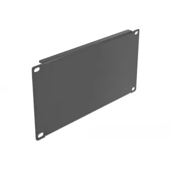 Tapa ciega DeLOCK 10 pulgadas armario de red 66662