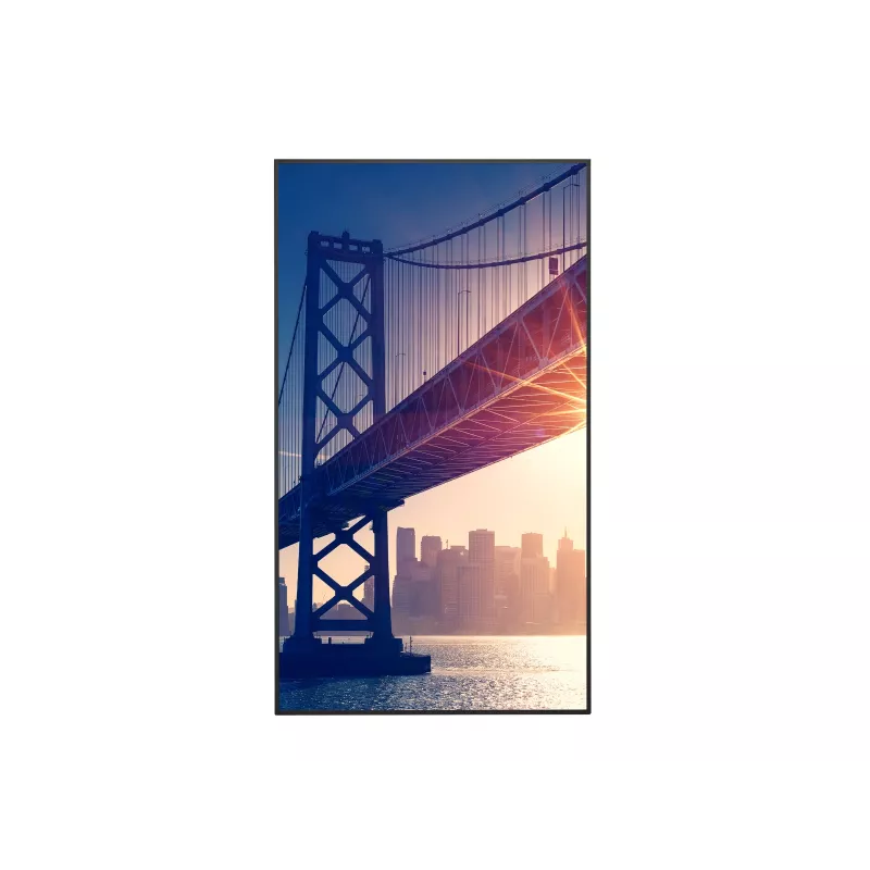 Pantalla plana de señalización digital Sharp PN-ME752 190,5 cm (75