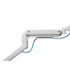 Equip Soporte de mesa para monitor Heavy-Duty de 17 a 49 pulgadas, Blanco