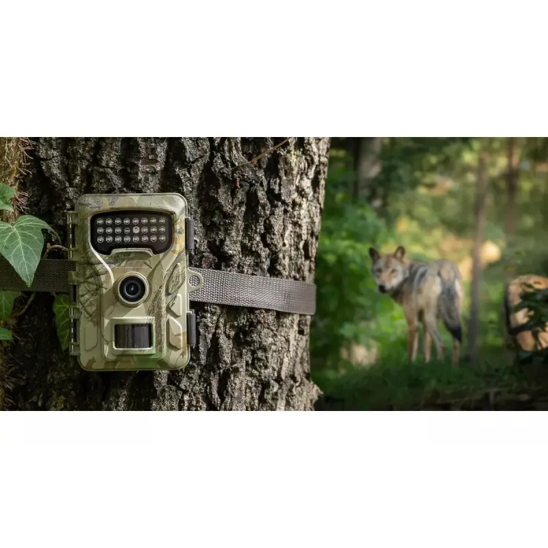 Cámara de vigilancia Redleaf RF06 RL4380 Estándar