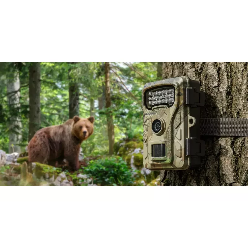 Cámara de vigilancia Redleaf RF06 RL4380 Estándar