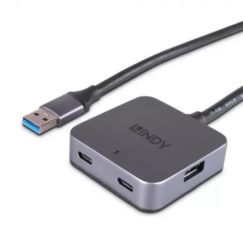Lindy Hub USB 3.0 de 5m y 4 puertos