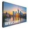 Monitor Philips 55BDL3305X 139,7 cm (55 pulgadas) LCD Full HD 1920 x 1080