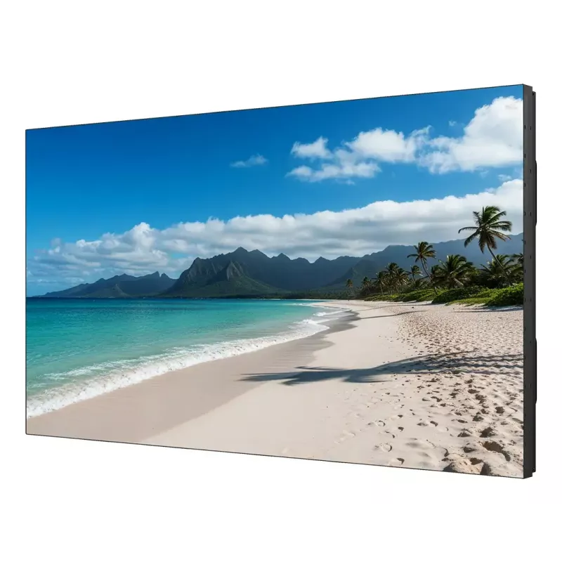 Pantalla LCD de interior Sharp PN-UN553V 55