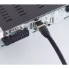 Cable de red ShiverPeaks BS20-60255