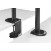 Soporte de mesa articulado para monitor Equip 17 inch-32 inch