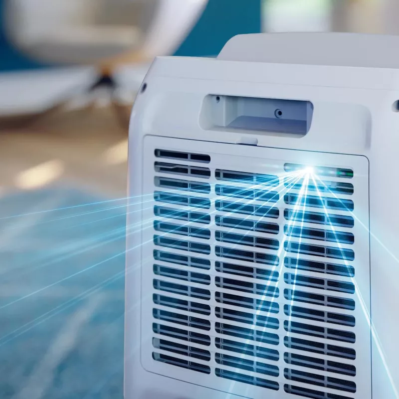 Deshumidificador Philips 3000 series DE3306/11 4 L 51 dB Blanco, gris claro