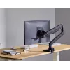 Soporte de sobremesa para monitor Equip 17