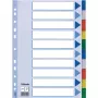 Separador Esselte PP A4 índice en blanco multicolor 225x297mm