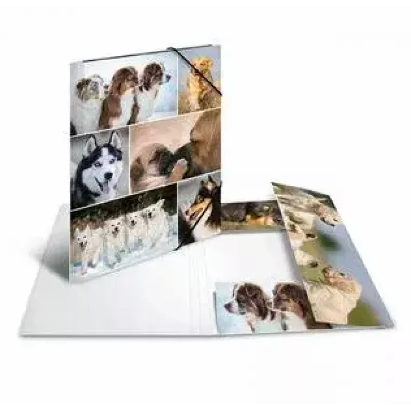 Carpeta de cartón HERMA 19211 A4 multicolor