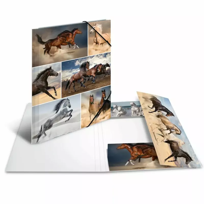 Carpeta de cartón HERMA 19209 A4 multicolor
