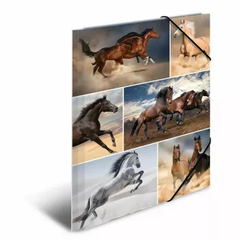 Carpeta de cartón HERMA 19209 A4 multicolor