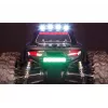 Monstertruck Amewi Daphoenodon motor eléctrico 1:12