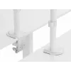 Soporte de mesa articulado para monitor Equip 17