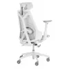 ASUS ROG Destrier Ergo Core silla gaming, malla/nailon, máx. 136 kg, 720 x 840 x 1290-1375 mm, blanca