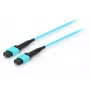 Cable de fibra óptica trunk MTP/MTP Equip, OM4, 7m