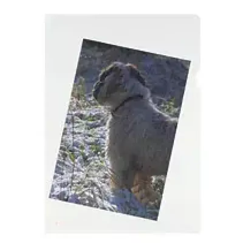 Funda transparente Herlitz 10843746 A4
