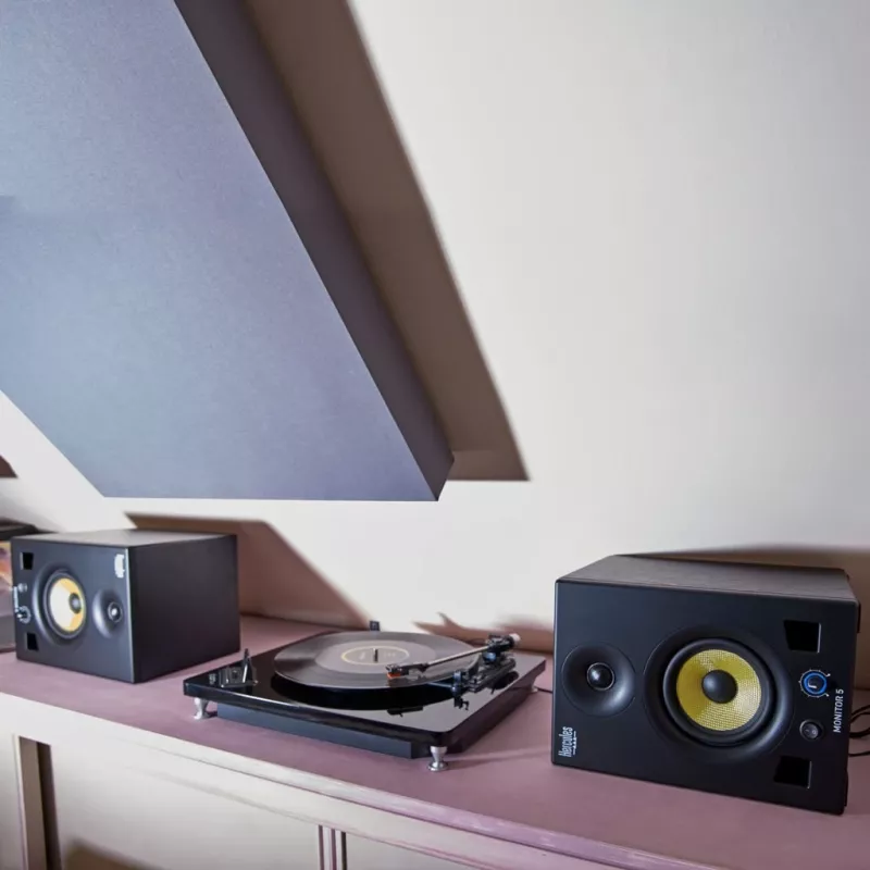 Altavoz de 2 vías Hercules Monitor 5 80 W
