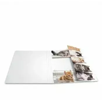 Carpeta de cartón HERMA 19219 A3 multicolor