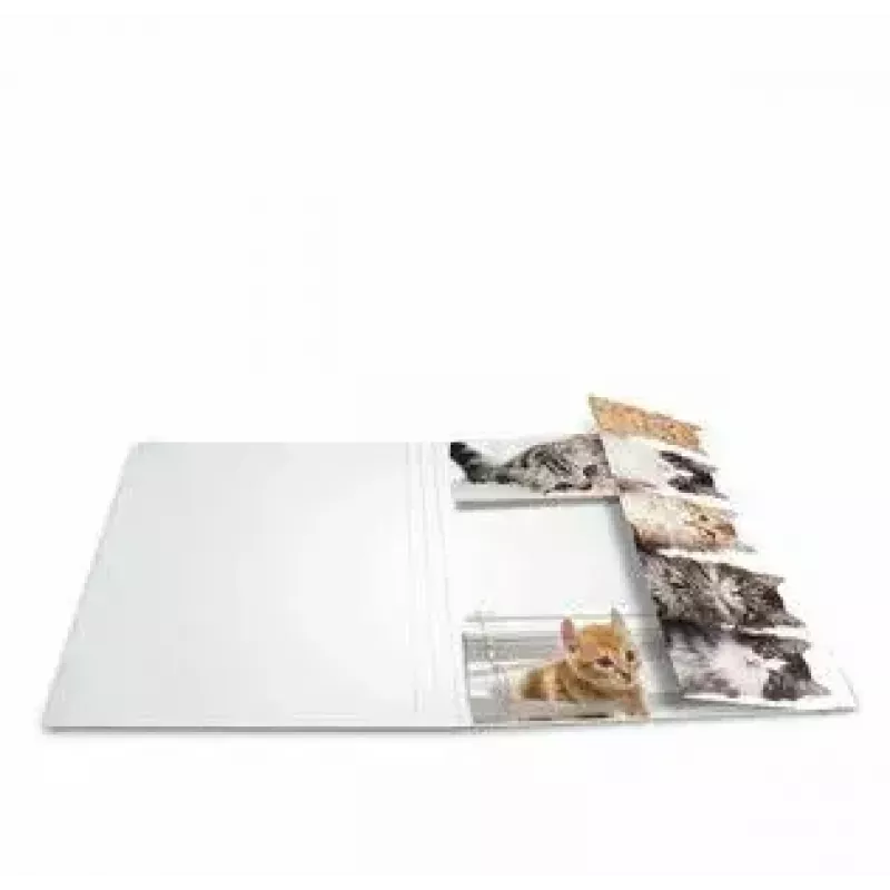Carpeta de cartón HERMA 19219 A3 multicolor