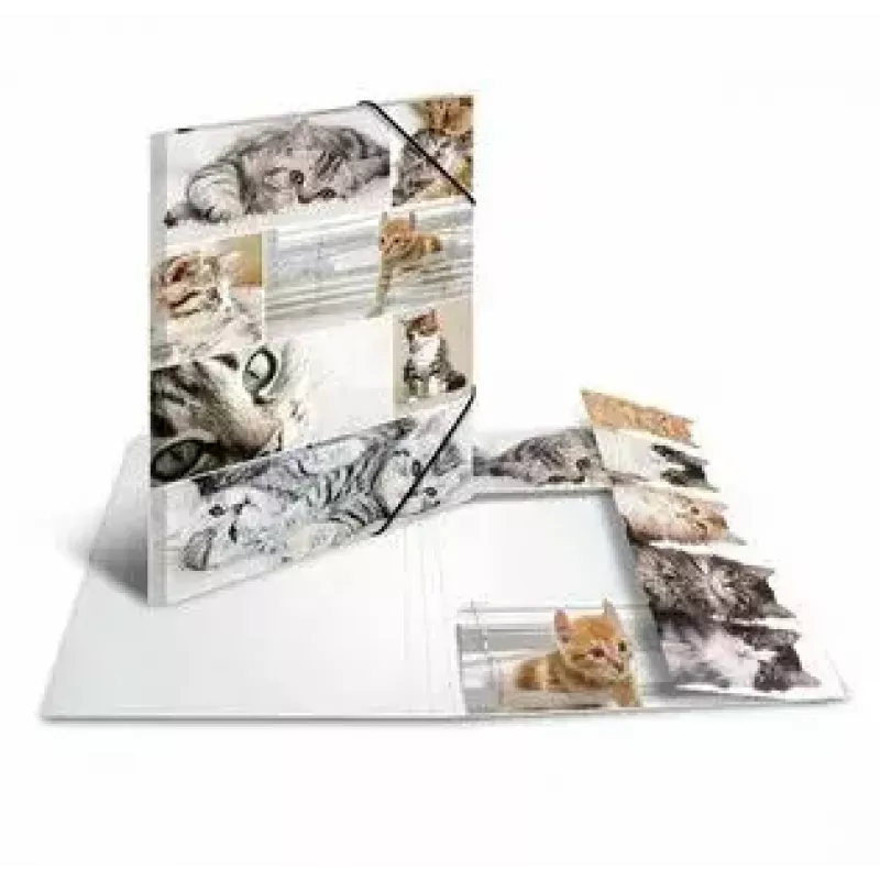 Carpeta de cartón HERMA 19219 A3 multicolor