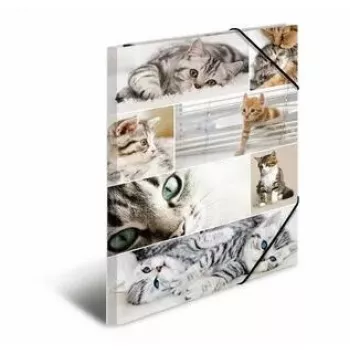 Carpeta de cartón HERMA 19219 A3 multicolor