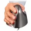 Ratón Evoluent VM4RW RF Inalámbrico