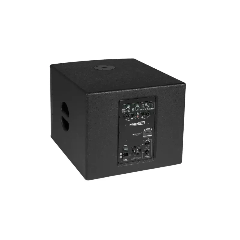 Subwoofer activo Omnitronic 11039050 negro 500 W
