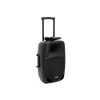 Altavoz PA Omnitronic 20000549