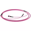 ACT 30 metros cable troncal de fibra óptica multimodo 50/125 OM4(OM3) polaridad A con conectores hembra MTP/MPO