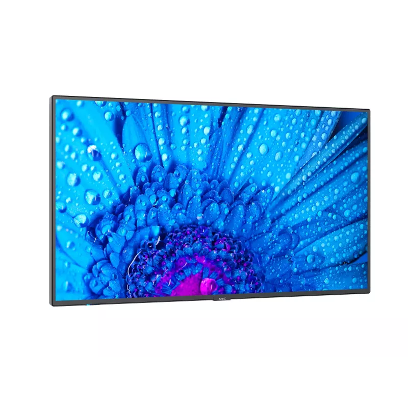 NEC MultiSync M651 Pantalla plana Digital Signage 165,1 cm (65 pulgadas) IPS 500 cd/m² 4K Ultra HD negro 24/7