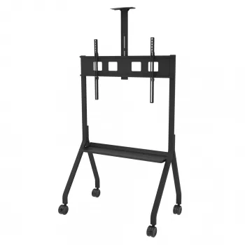 Peerless Paramount 190,5 cm (75