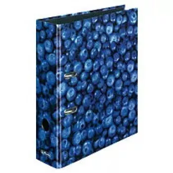 Carpeta de anillas Herlitz 11080660 A4 multicolor