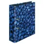 Carpeta de anillas Herlitz 11080660 A4 multicolor