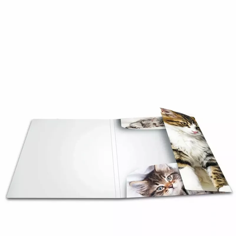Archivador polipropileno (PP) HERMA 7138 A4 multicolor