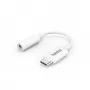 Cable de audio Hama 00201524 USB C 3,5 mm blanco