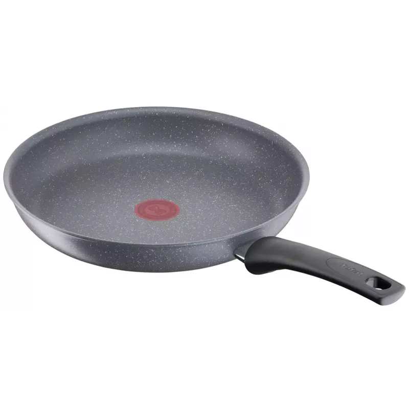 Sartén polivalente Tefal Healthy Chef G15006 Redonda