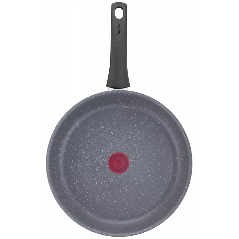 Sartén polivalente Tefal Healthy Chef G15006 Redonda