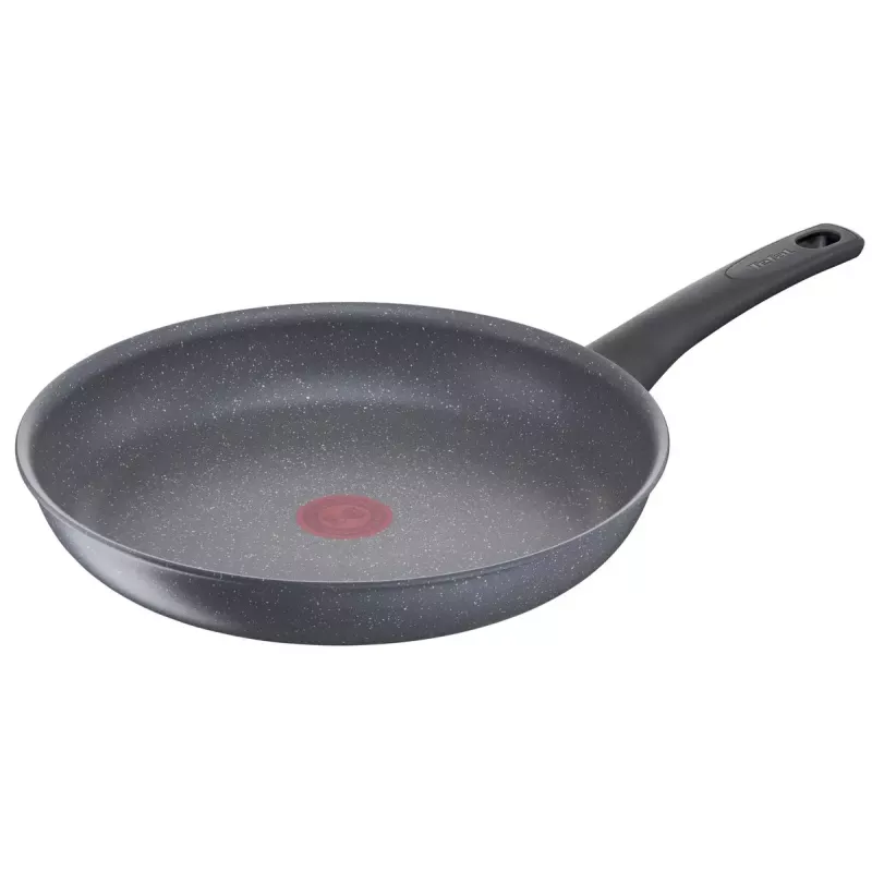 Sartén polivalente Tefal Healthy Chef G15006 Redonda
