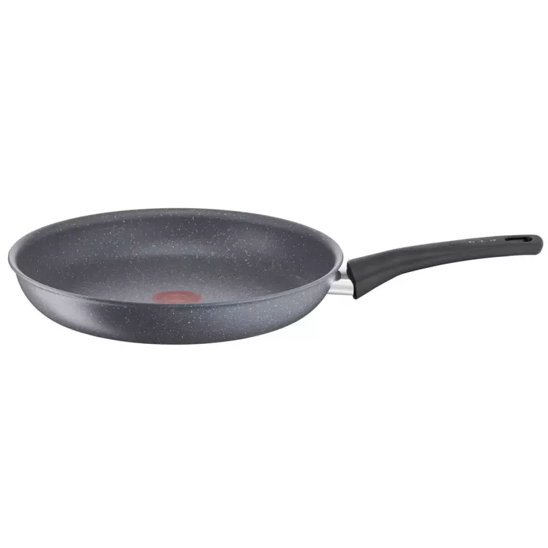 Sartén polivalente Tefal Healthy Chef G15006 Redonda