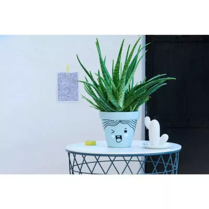 Rotulador Edding 750 10 uds.