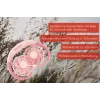 Unold Ventilador de cuello Breezy Pink, Rosa, 2 ventiladores, 8 h, ventilador de cuello, Blanco, 1 ud.