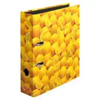 Carpeta de anillas Herlitz 10546901 A4 Multicolor