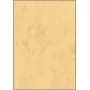 Papel de impresión artística Sigel DP262 100 hojas Beige 90 g/m²
