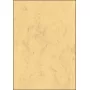 Hojas de papel artístico Sigel DP553 50 hojas Beige 200 g/m²