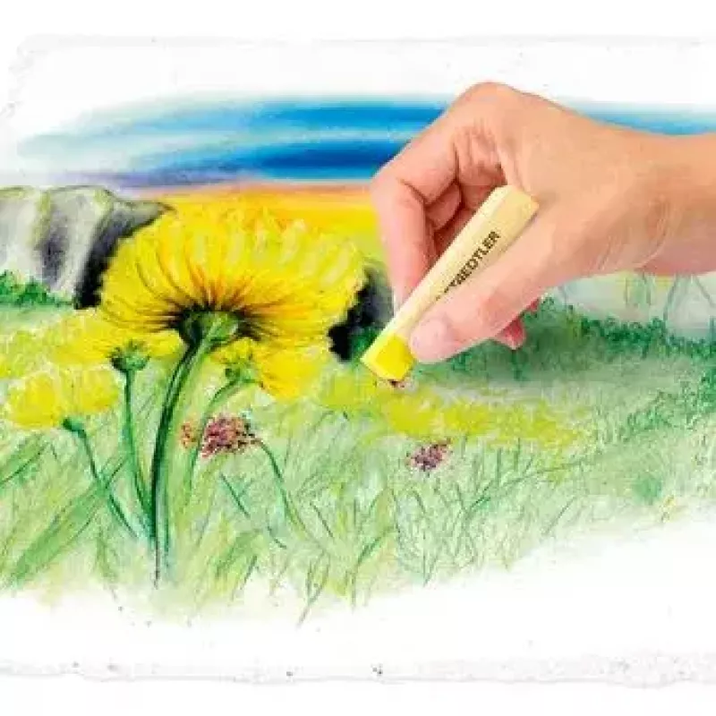 Tiza pastel seca blanda Staedtler 2430 multicolor 24 uds.