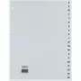 Rexel registro de PP, gris, alfabético, separador alfabético, polipropileno (PP), gris, A4+, 246 mm, 297 mm