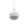 Altavoz de 2 vías Omnitronic 80710421 Blanco Cableado 10 W