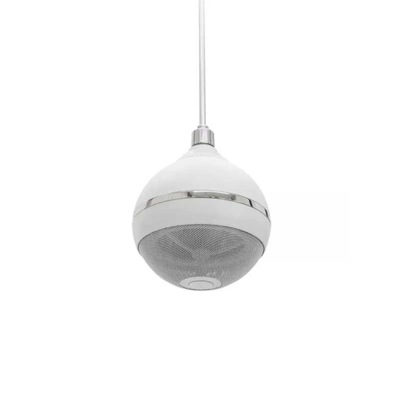 Altavoz de 2 vías Omnitronic 80710421 Blanco Cableado 10 W